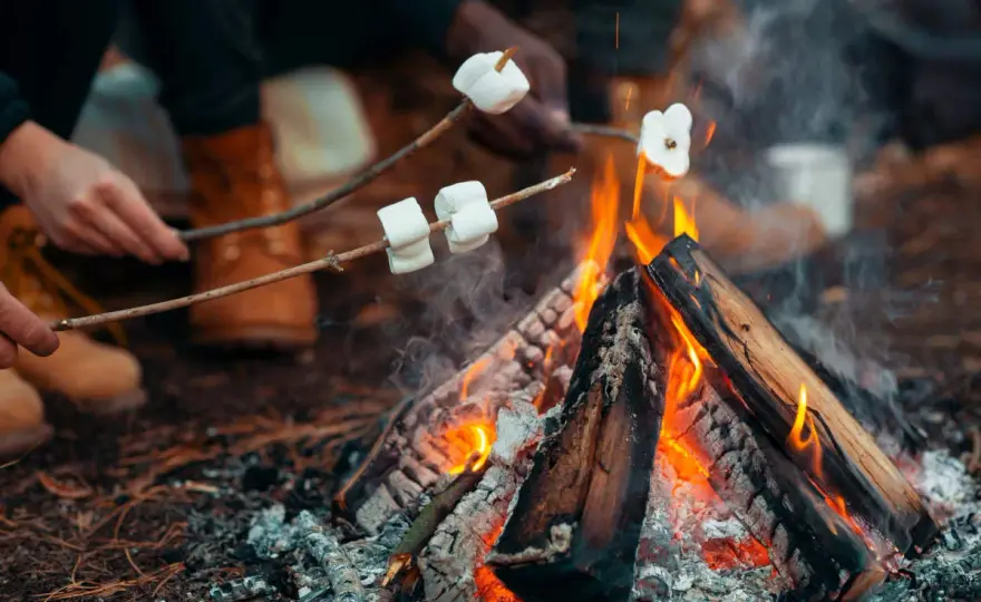 Pianki na ognisko - Jak wybrać i upiec idealne marshmallow?