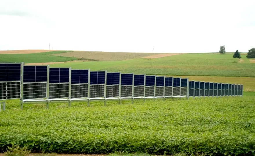Agri-PV auf Weideflächen - So gelingt die Doppelnutzung in Deutschland