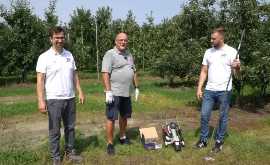 Jak prawidłowo wkręcić kotwy sadownicze dla stabilnych drzew