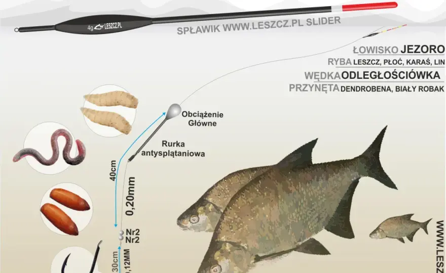 Spławik na leszcza - Jak dobrać i zmontować zestaw?
