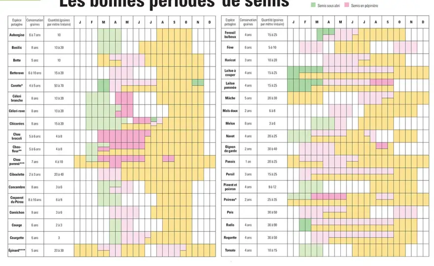 Calendrier semis céréales - Les vrais repères pour réussir