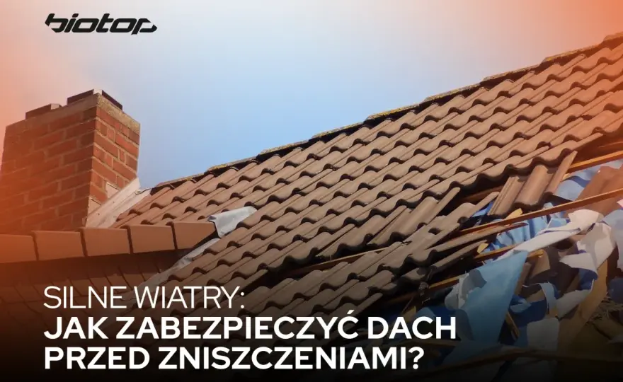 Skrzypiący dach podczas wiatru - kiedy trzeba działać?