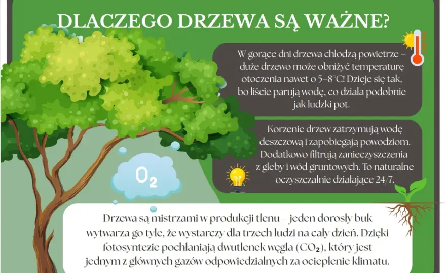 Drzewo ekologiczne - Co to jest i dlaczego jest tak ważne?