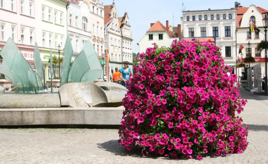 Kwietnik kaskadowy jak zrobić - proste kroki do pięknej aranżacji