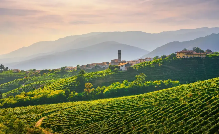 Venetien Wein - Die ganze Vielfalt Italiens entdecken