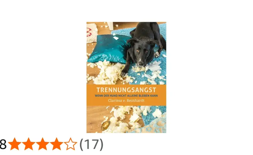 Trennungsangst beim Hund verstehen - so klappt das Alleinbleiben