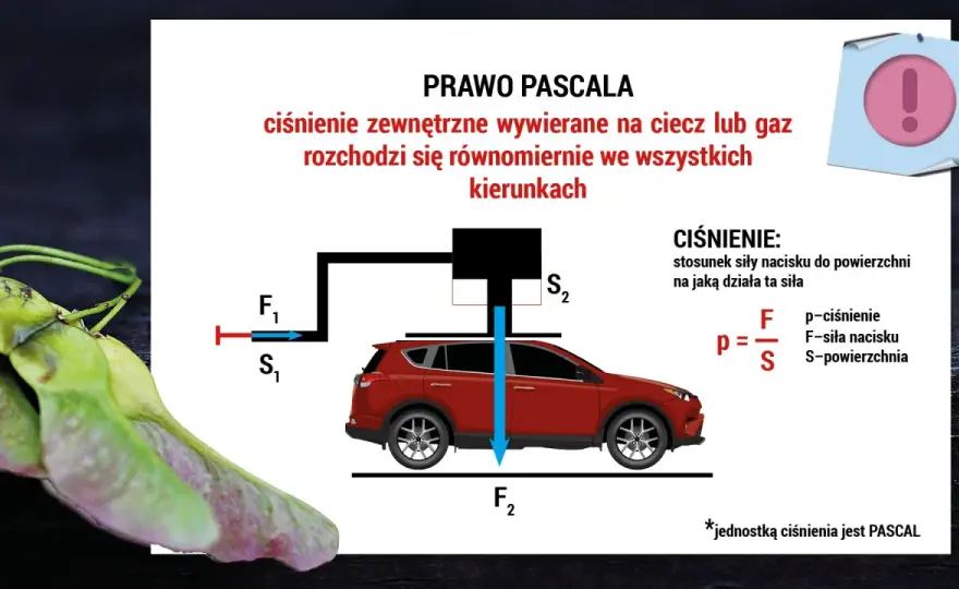 Siła nacisku - jak ją obliczyć i nie pomylić z ciśnieniem?