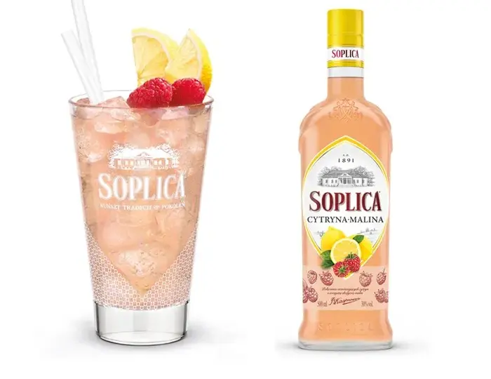 Pyszne drinki z wodą gazowaną i cytryną, które orzeźwiają każdego dnia