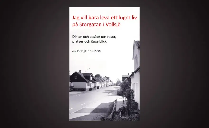 Poesi och dikter - så läser du dem med större förståelse