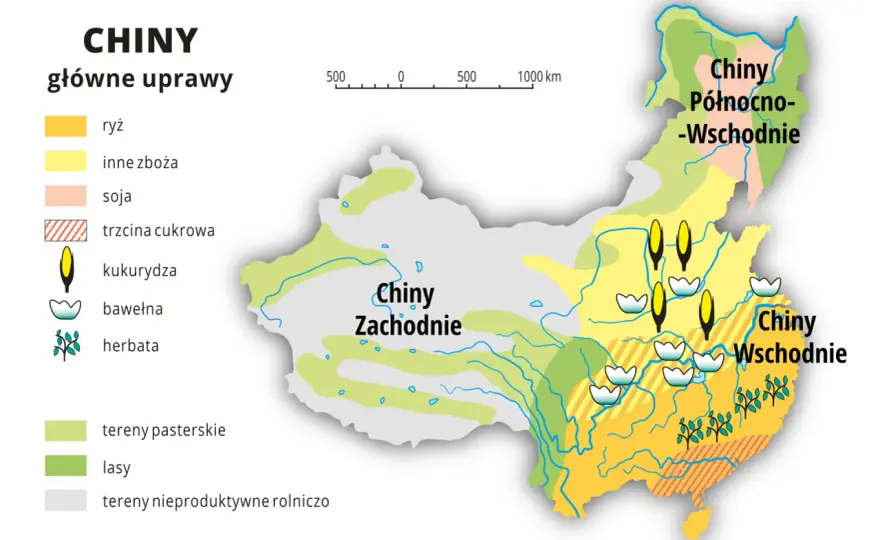 Gdzie leżą Chiny? Położenie, sąsiedzi i skala kraju