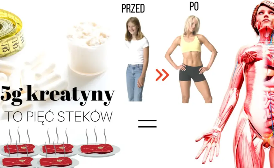 Czy brać kreatynę w dni bez treningu? Oto, co musisz wiedzieć