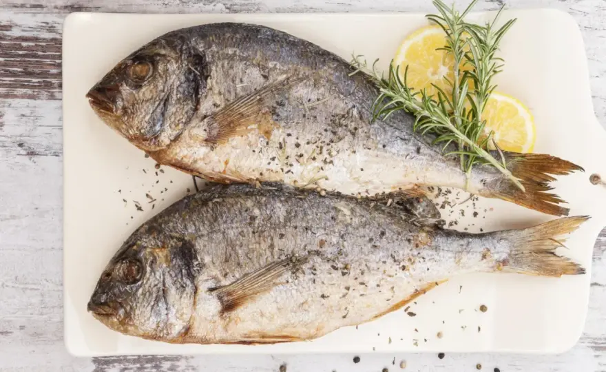 Speisefische richtig kaufen und zubereiten - so gelingt's