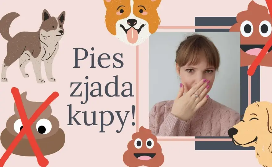 Dlaczego szczeniak zjada swoje odchody i co z tym zrobić, aby pomóc?