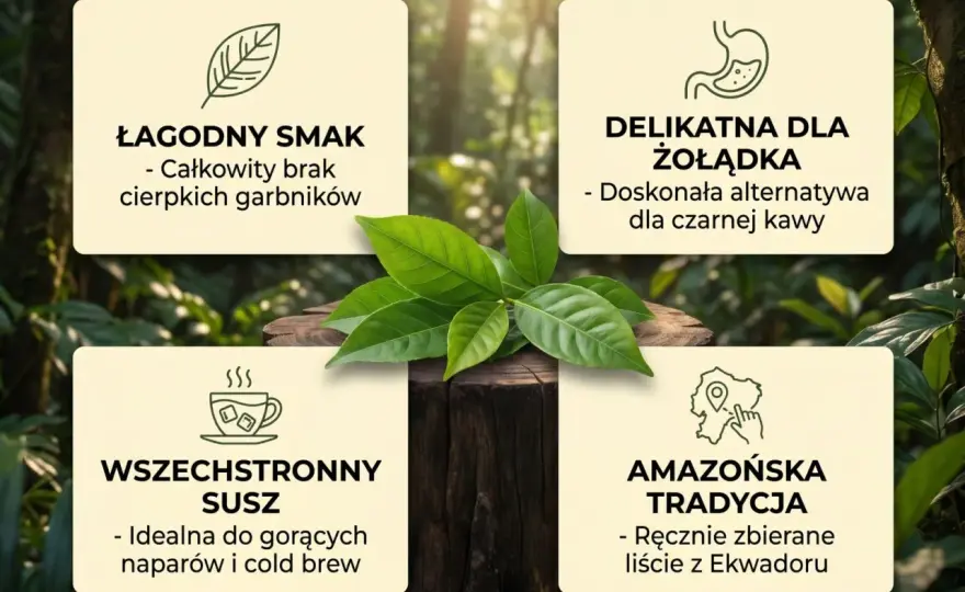 Guayusa - jak parzyć? Zrób idealny napar bez błędów