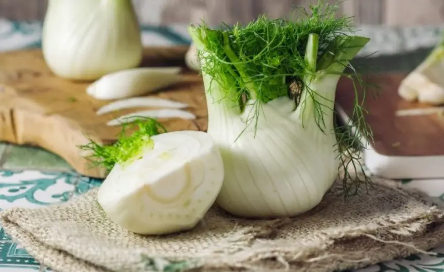 Koper włoski (Fenchel): nazwy, smak, przepisy i zdrowie