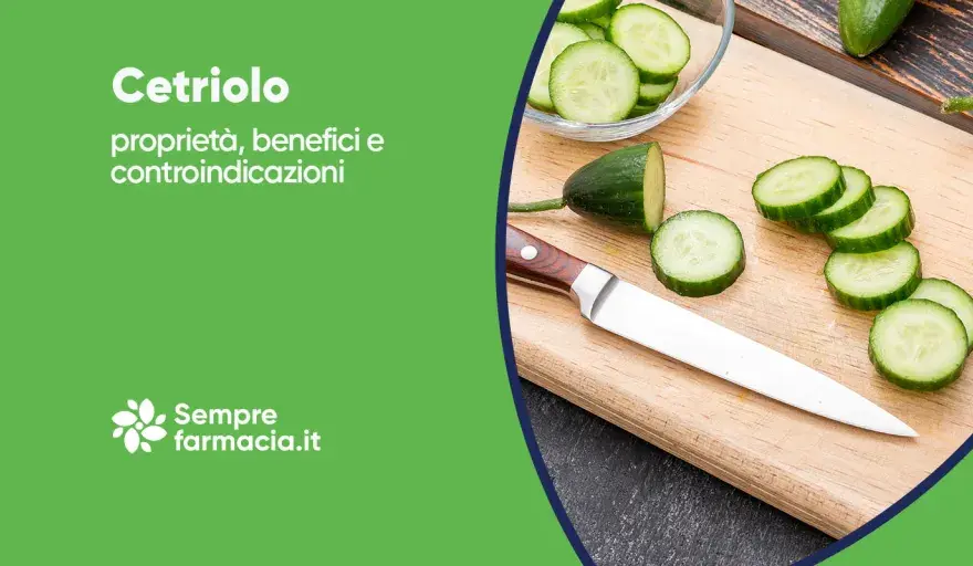 Il cetriolo tra nutrienti reali e usi pratici in cucina