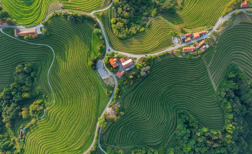 Slowenische Weinregionen - Ihr Guide für Stil & Reise