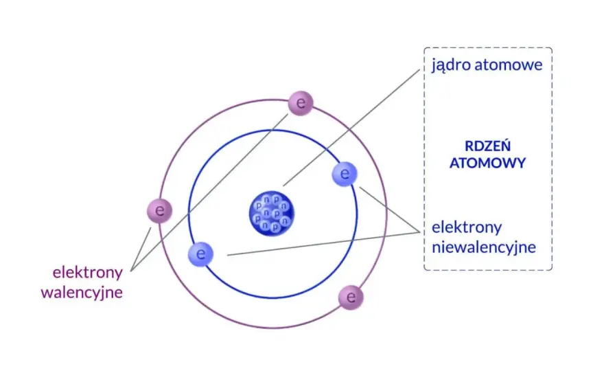 Z czego zbudowany jest atom? Przewodnik po świecie cząstek