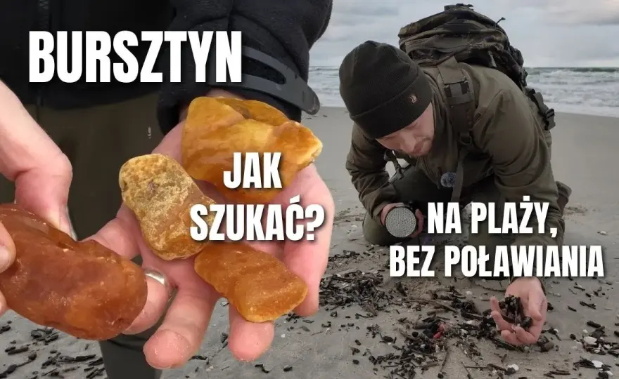 Odkryj sekrety Bałtyku: Gdzie i kiedy zbierać muszle i bursztyn