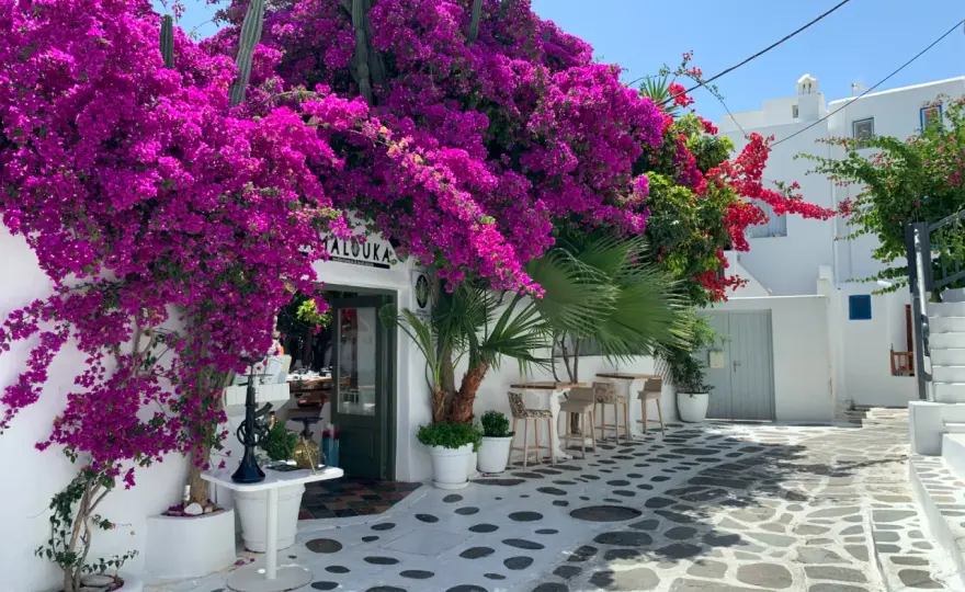 Najlepsze atrakcje na Mykonos, które musisz zobaczyć podczas wizyty
