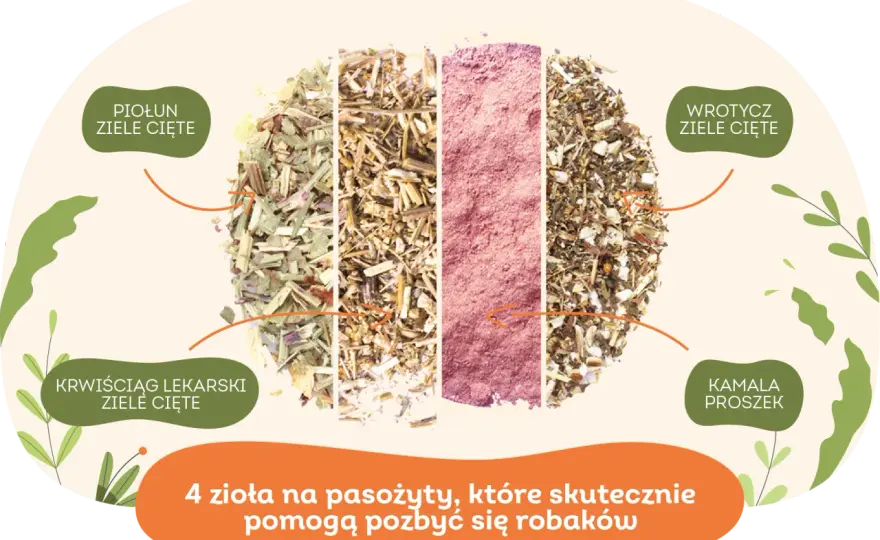 Czym odrobaczać psa? Skuteczne metody i naturalne alternatywy