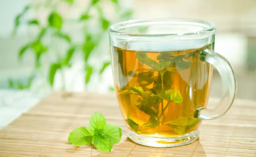 Napar z mięty - Jak parzyć, aby nie był gorzki i zachował aromat?