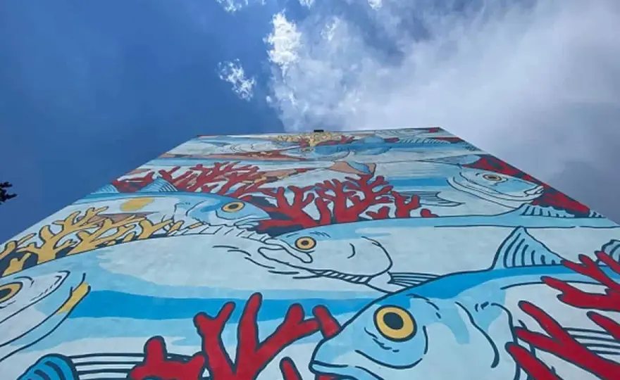 Street art a Roma - i quartieri migliori da vedere