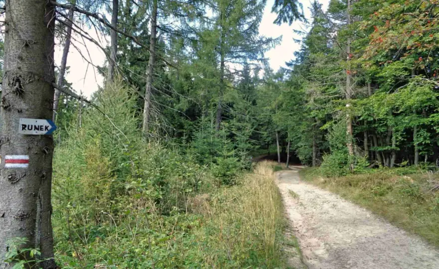 Krynica-Zdrój - Beskid Sądecki czy Niski? Wybierz szlak!