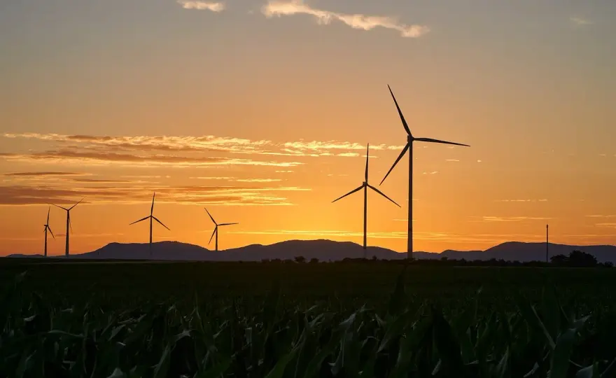 Przydomowa turbina wiatrowa - czy to się opłaca? Sprawdź!