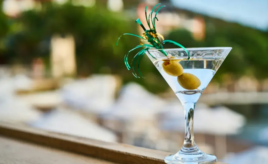 Martini Aperitivo - Jak serwować i z czym łączyć? Poznaj tajniki smaku