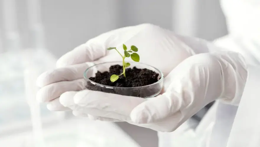 Jakie studia po biologii? Odkryj najlepsze kierunki i możliwości kariery