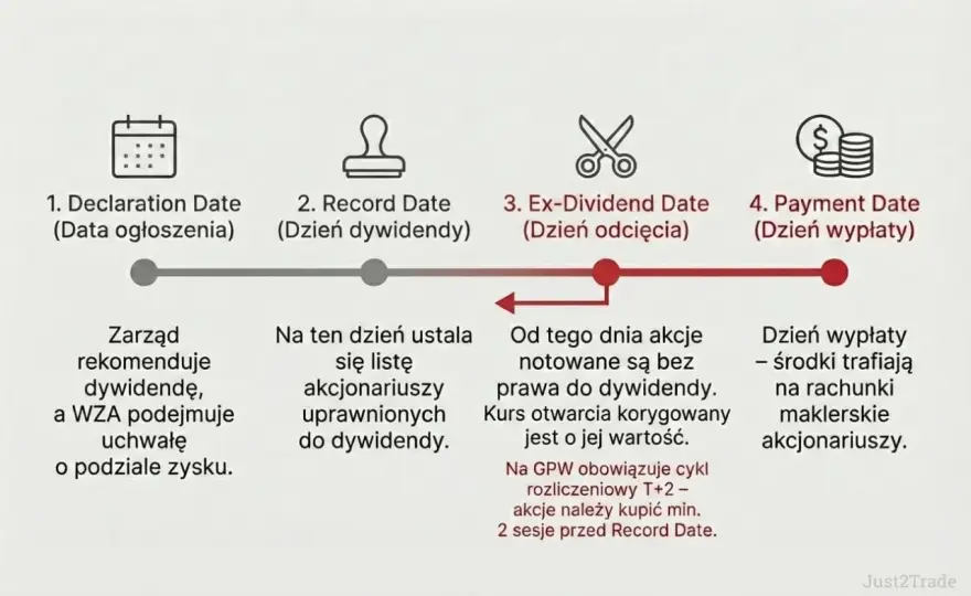 Dywidenda w spółce - jak działa, ile wynosi i kiedy się opłaca