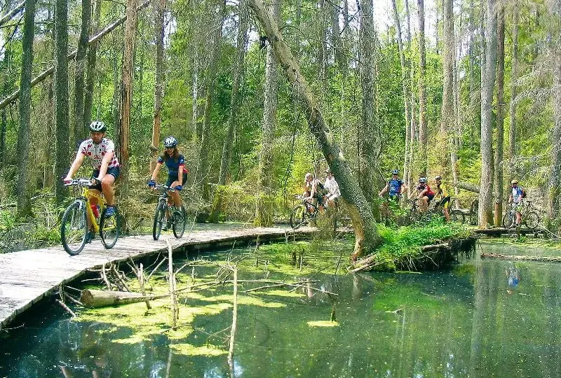 Biebrzański Park Narodowy: najlepsze trasy rowerowe i ich atrakcje
