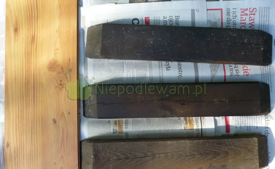 Stara drabina, nowy kwietnik: Zrób to sam krok po kroku!