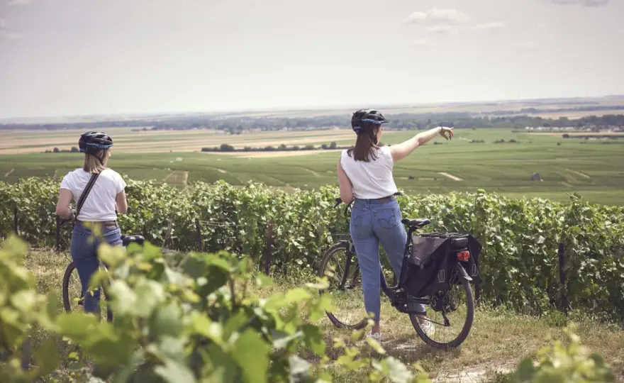 Champagne Bike Tours - Plan Your Perfect Ride & Tasting