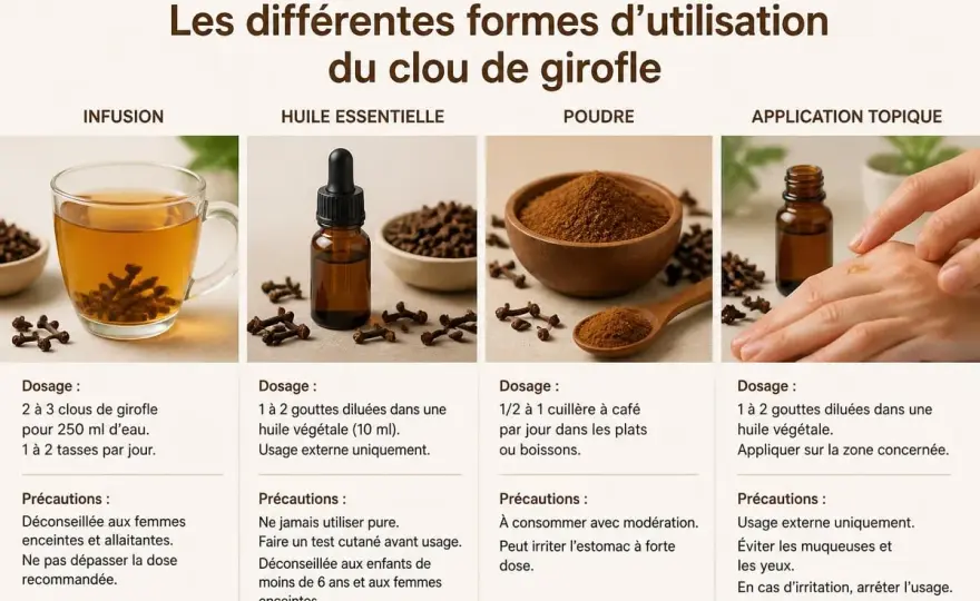 Clou de girofle - bienfaits, usages et précautions