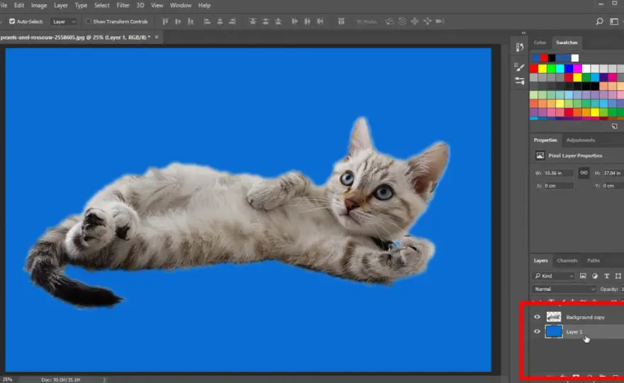 Jak zmienić kolor tła w Photoshopie - proste metody krok po kroku