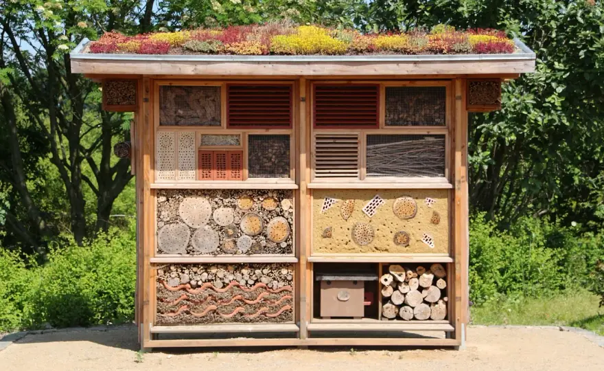 Insektenhotel mit Kindern bauen - So wird es wirklich nützlich