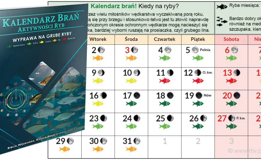 Sekrety kalendarza brań: Kiedy ryby żerują najlepiej?