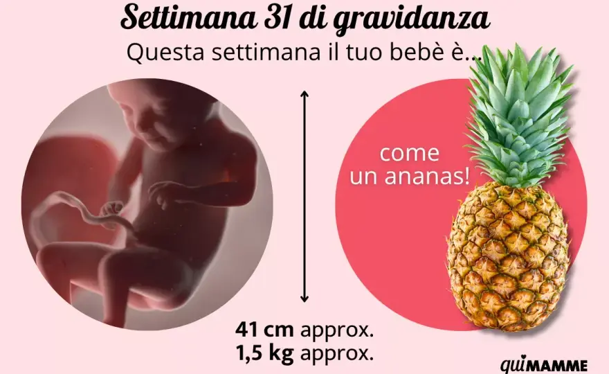 31 settimane di gravidanza - cosa succede e quando chiamare