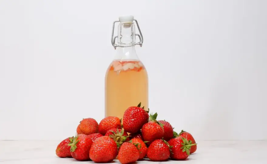 Kombucha - co to jest i jak wybrać tę z najlepszym składem?