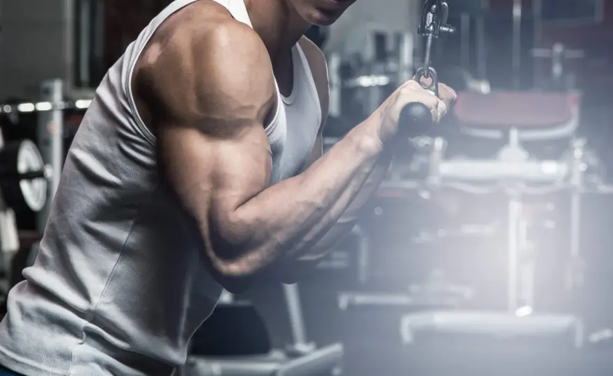 Triceps ramienia i łydki - Jak rozpoznać i regenerować przeciążenia?