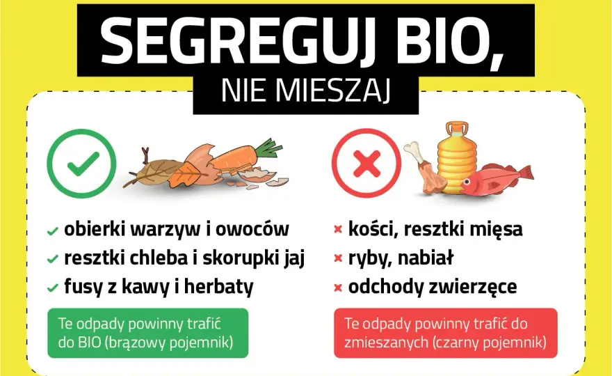 Gdzie wyrzucić resztki jedzenia? Sprawdź, jak segregować BIO i resztki