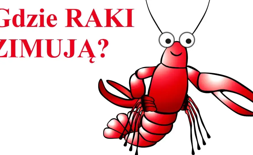 Gdzie raki zimują? Sekrety ich zimowania i naturalne środowisko życia