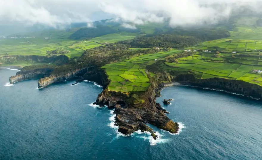 Madeira & Azoren Wein - So schmecken die Atlantik-Inseln wirklich