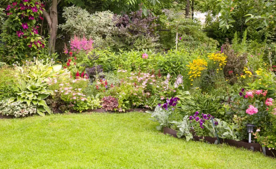 Massif de fleurs réussi - Le guide pour un jardin durable