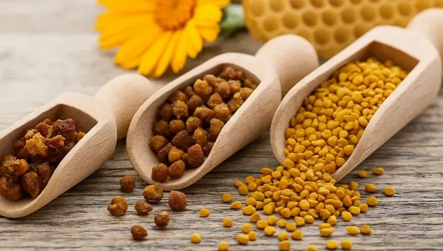 Co lepsze: pierzga czy propolis? Odkryj ich zdrowotne korzyści