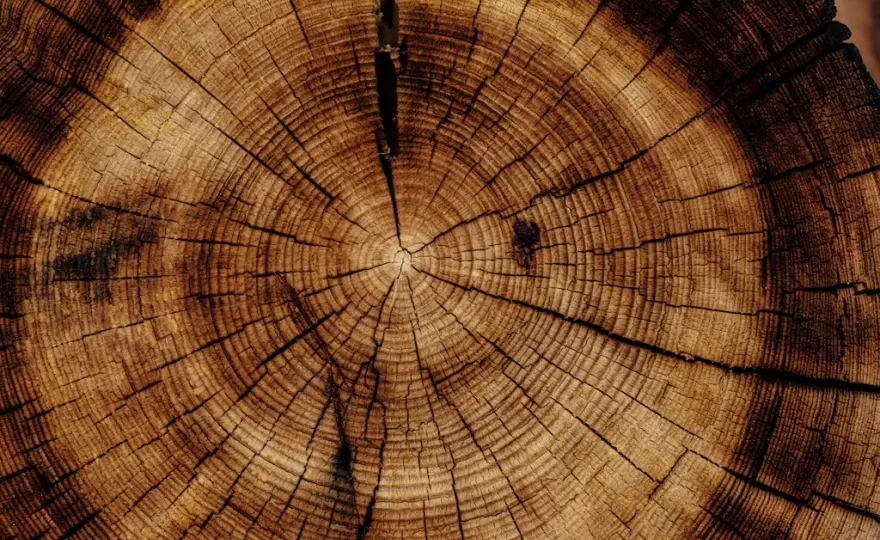 Impregnacja drewna – skuteczna ochrona na lata