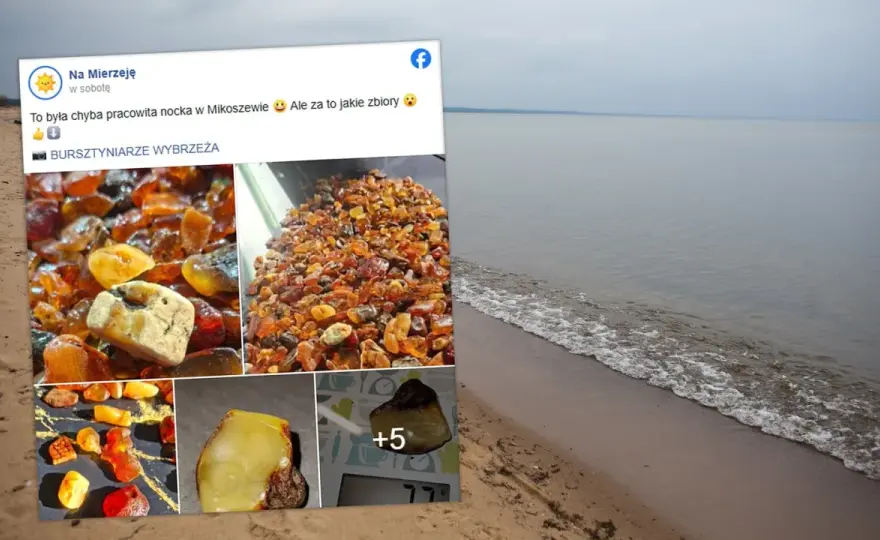 Gdzie szukać bursztynu w Polsce? Najlepsze plaże i porady