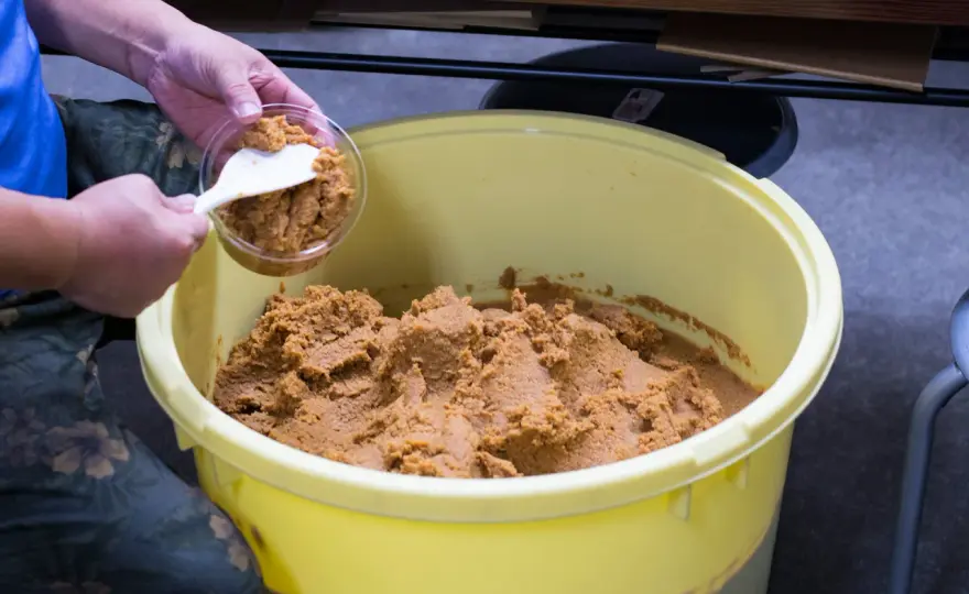 Miso-Paste haltbar? So lange bleibt sie wirklich gut